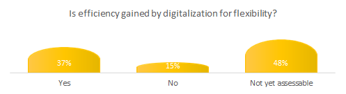 Is efficiency gained by Industry 4.0 and digitalization for flexibility?