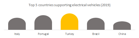 Top 5 countries supporting electric cars  (2019).