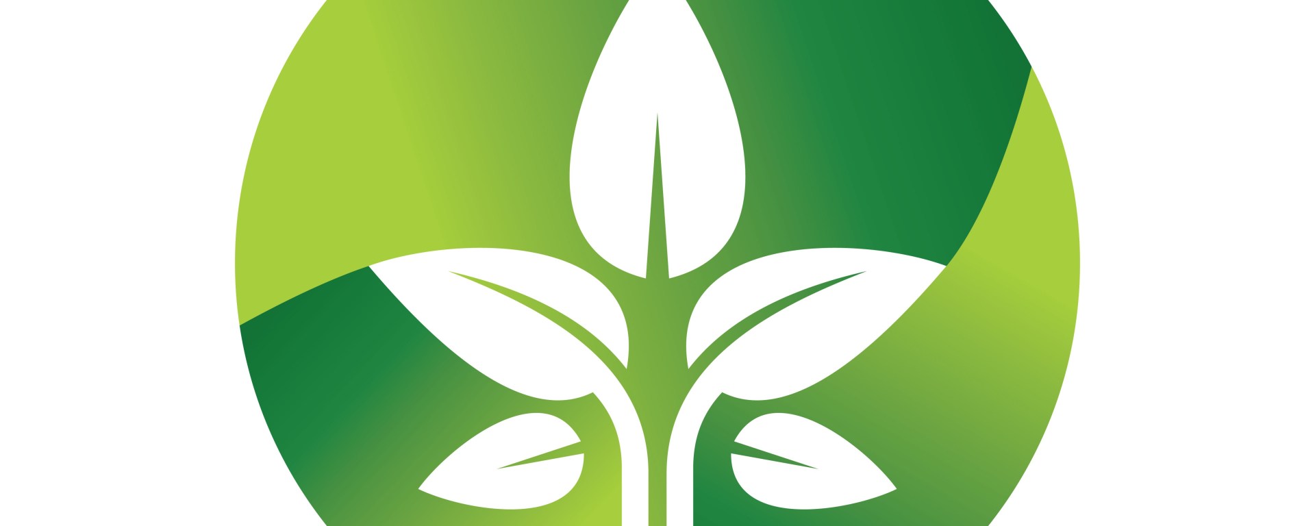 Major countries' investments in renewable energy.