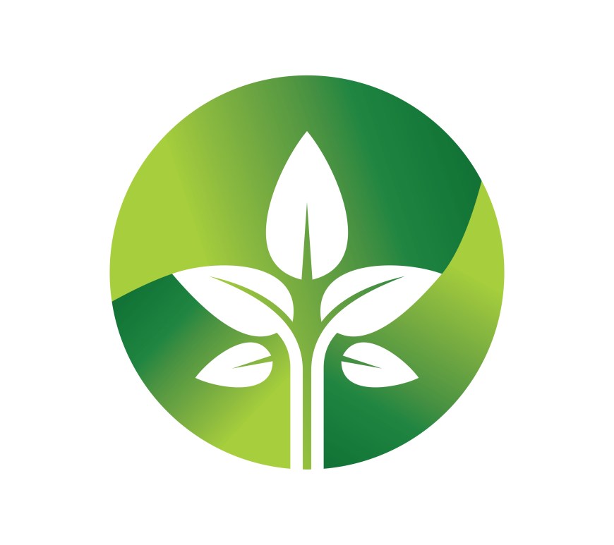 Major countries' investments in renewable energy.