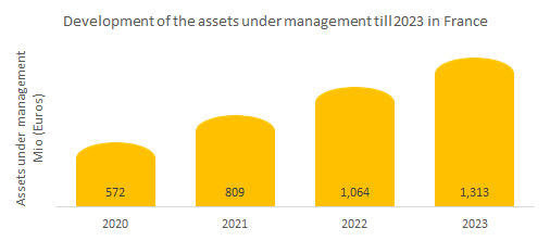 Robo-advisors in France